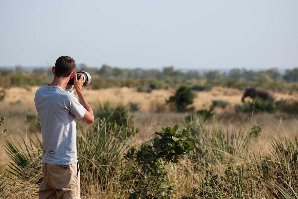 A Guide to Taking the Best Safari Photography